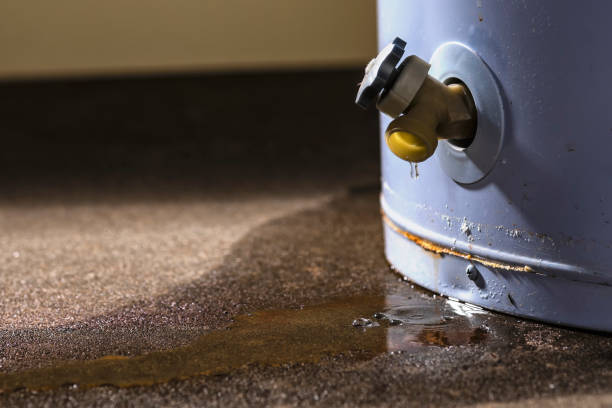 Best Professional water damage repair  in Paloma Creek, TX