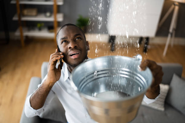 Best Commercial water damage restoration  in Paloma Creek, TX