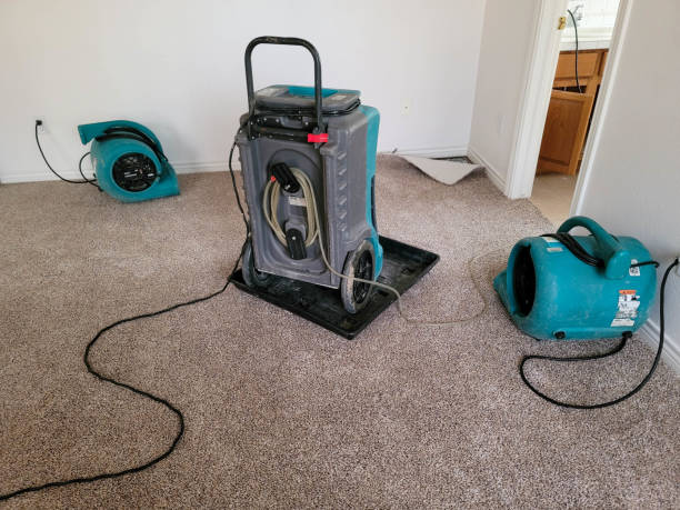 Best Flooded house restoration  in Paloma Creek, TX