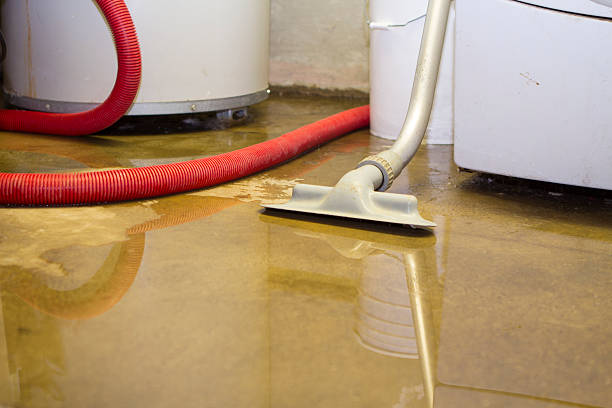 Best 24-hour water damage restoration  in Paloma Creek, TX