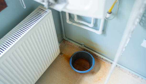 Best Fire Damage Restoration  in Paloma Creek, TX