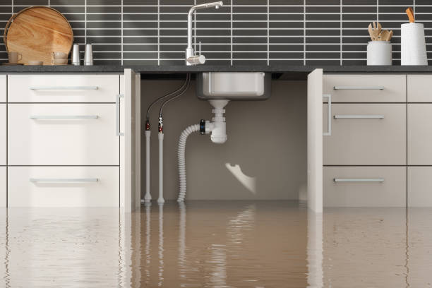 Best Emergency water damage restoration  in Paloma Creek, TX