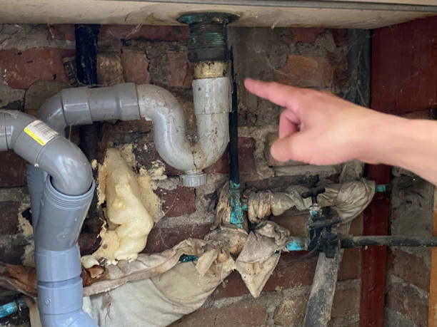 Best Fire Damage Restoration  in Paloma Creek, TX